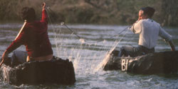 Coracle fishing on the River Teifi. Click on this image to see an example of the Irish pilgrims in their boats.