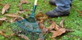 Last few weeks of garden waste collections for 2022